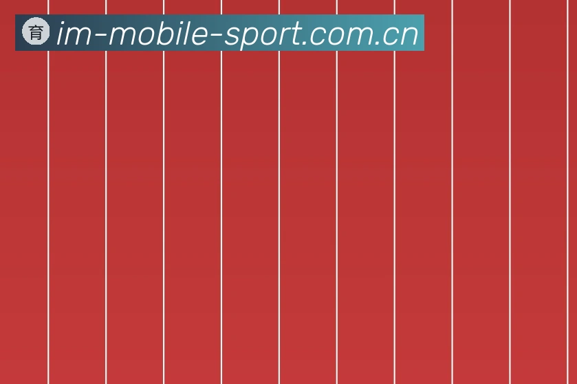 关于im体育官网入口