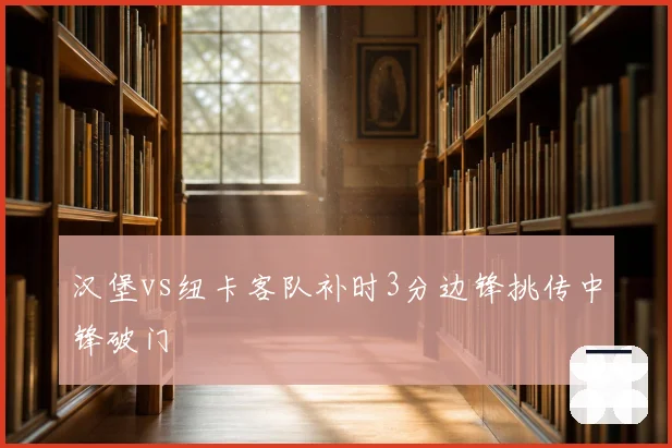 汉堡vs纽卡客队补时3分边锋挑传中锋破门