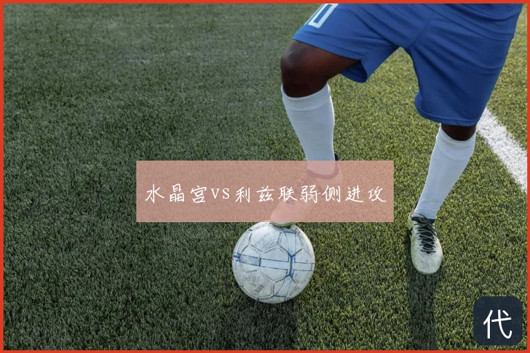 水晶宫vs利兹联弱侧进攻